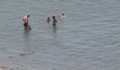 Изчезналото момче не стресна русенци, продължават да се къпят в Дунава