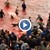 Море от кръв! 250 кита бяха изклани за спорта