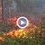 Пожар изпепели 3500 декара широколистни гори
