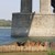 Хванаха роми да режат Дунав мост за скрап