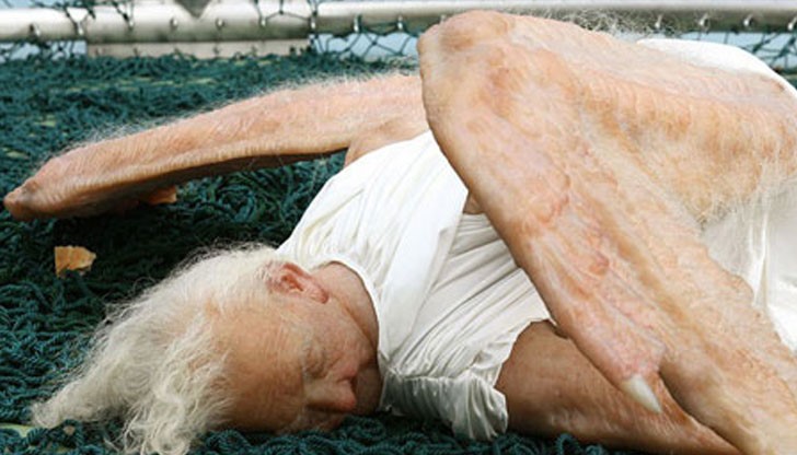 Творбата изглежда реалистично и шокиращо. Тя изобразява мъртва възрастна жена, която някога е била с ангелски крила.