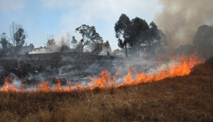 Съгласно националното екологично законодателство ... Съгласно националното екологично законодателство ...