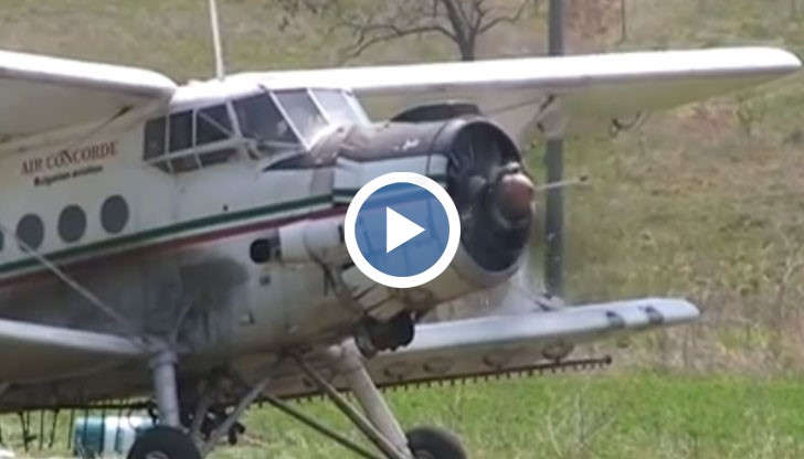 Ваксинация срещу бяс при дивите животни