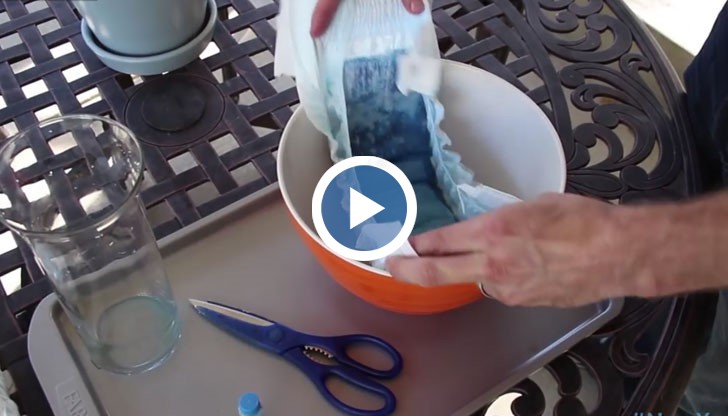 Трик, който ще направи цветната ви градина райско кътче с прекрасно цъфтящи цветя!