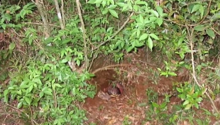 Какво кара хората да правят такива ужасни неща?!