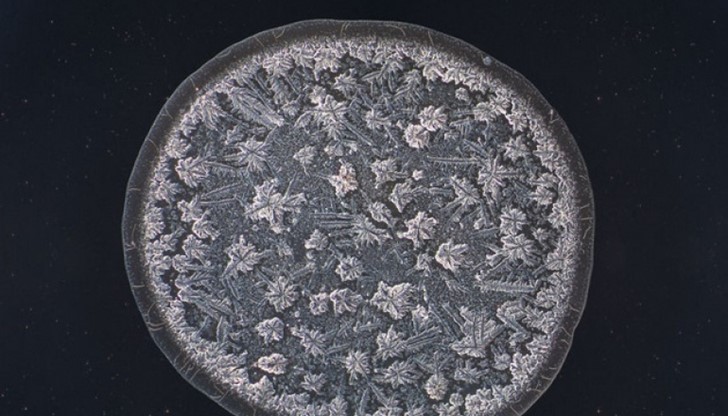 Вашата слабост е нещо красиво!