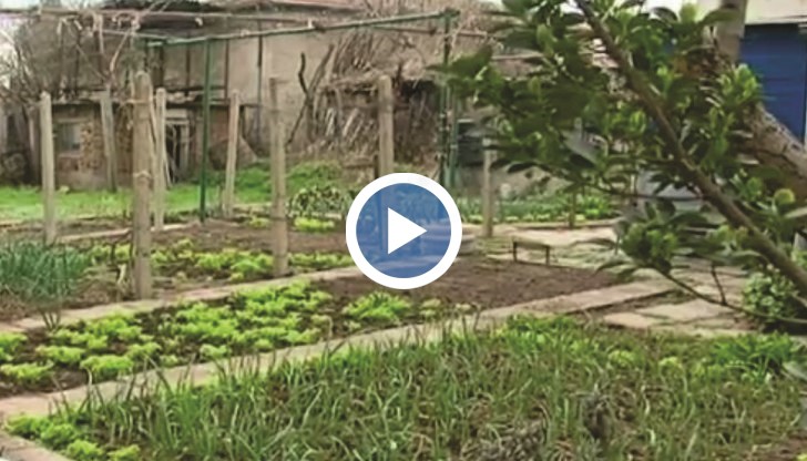 На 5-то място в анкетата ни ...