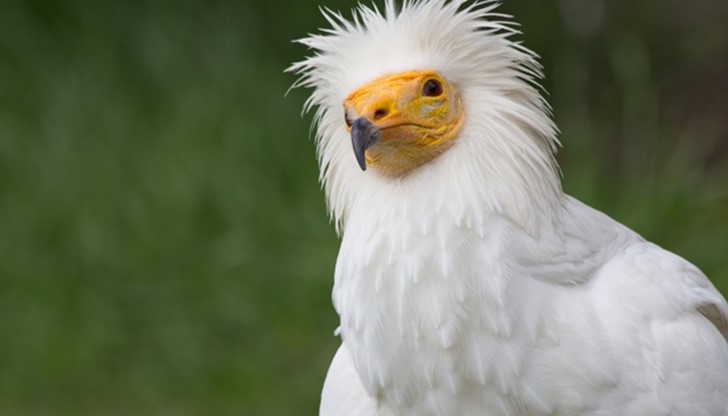 70 учени, изследователи и специалисти от 33 страни се събраха в София ... 70 учени, изследователи и специалисти от 33 страни се събраха в София ...