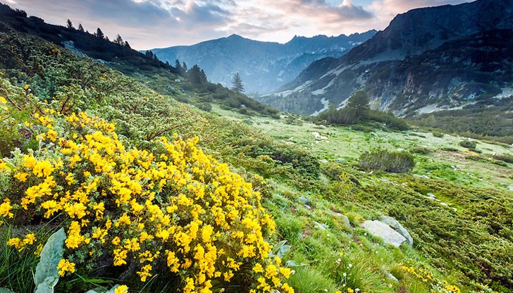 държавните органи са оставили Пирин да бъде увреден чрез неуместно застрояване в ски зона Банско държавните органи са оставили Пирин да бъде увреден чрез неуместно застрояване в ски зона Банско