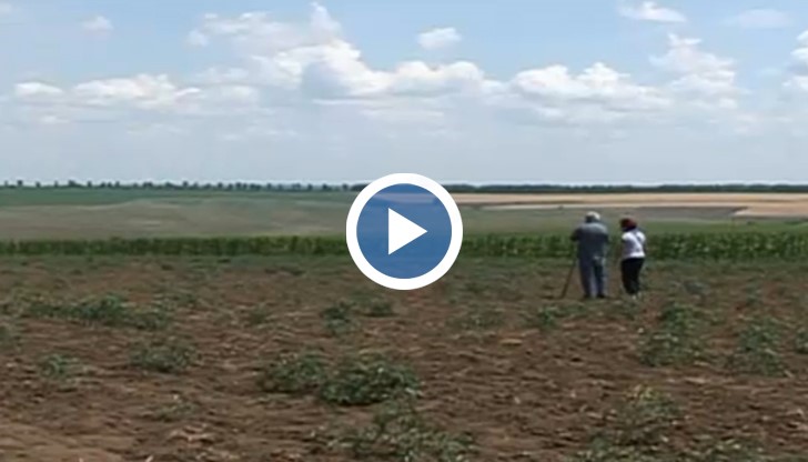 Преди около месец Кольо Енчев копаел на полето заедно със съпругата и тъщата си...