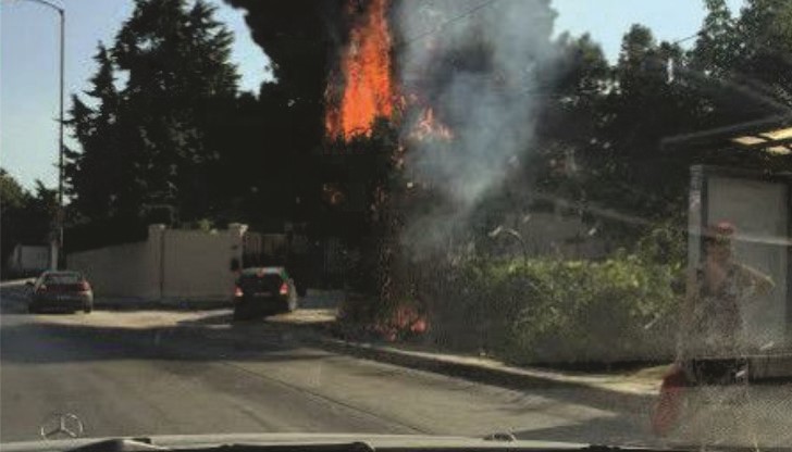 От снимките добре се вижда, че пожарът никак е е малък