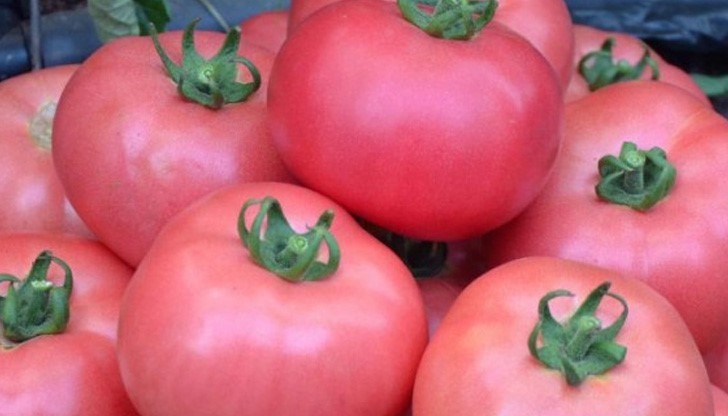 Нов проект ще застраши някои сортове български зеленчуци, включително и любимите на всички розови домати