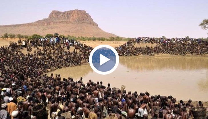 водите на езерото се изпразват от риба буквално за минути