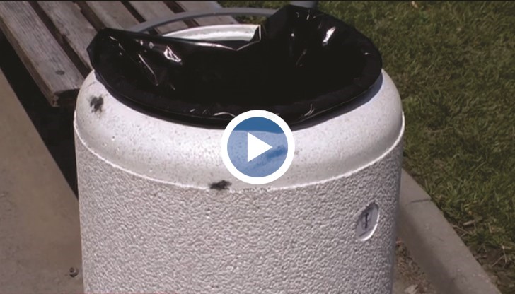 Подмениха над 300 кошчета в централната градска част на Русе