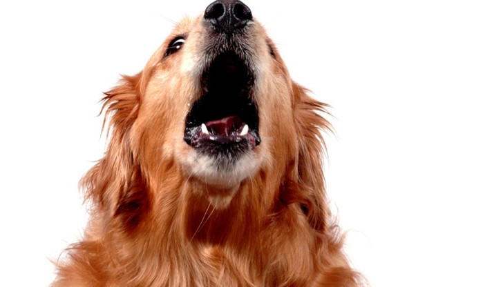 Кметът на неголямото италианско градче Контроне ... Кметът на неголямото италианско градче Контроне ...