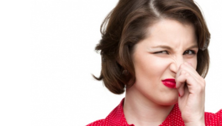 Следвайте носа си преди да вземете важно решение Следвайте носа си преди да вземете важно решение