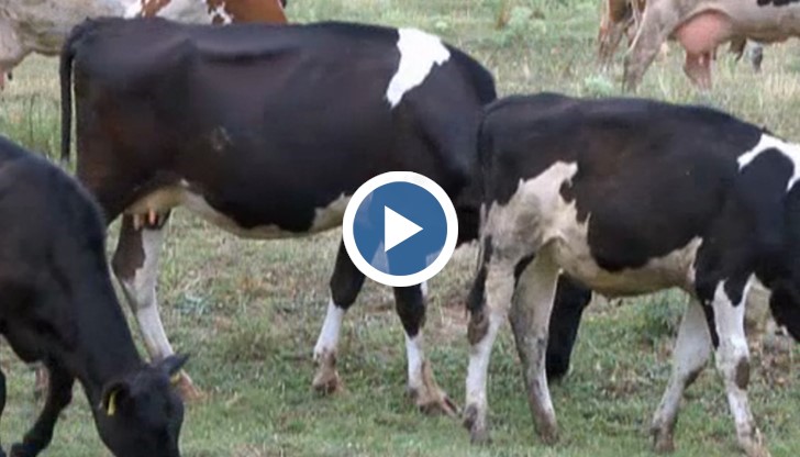 Заплахата идва от провинция Одрин, в близост до границата между Турция и България