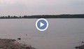 Млад мъж загуби слуха си, след като се къпа в река Дунав