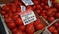 „Грозни домати“ станаха хит на пазара