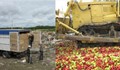 13 т български чушки унищожи руски трактор