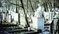 Живущите до гробището на "Чародейка": Нощем някой се мярка между кръстовете и се чува как моли за помощ