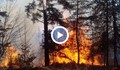 Пожар изпепели 400 дка край Благоевград
