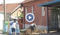 Срив на имотния пазар в България