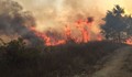 Пожар унищожи 300 декара гори и сухи треви край село Фролош