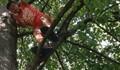 13-годишно дете пострада след падане от  дърво