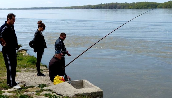 Това според специалистите е доказателство, че в този участък на реката все още има естествено размножаващи се есетрови популации Това според специалистите е доказателство, че в този участък на реката все още има естествено размножаващи се есетрови популации