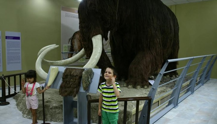 В Екомузей с Аквариум – Русе е поставен нов метален съвременен парапет.