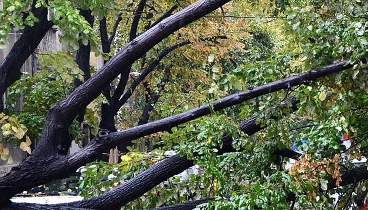 Произшествието е възникнало в района на "Дунавска коприна"