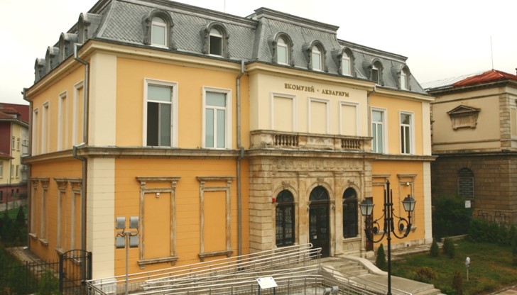 Част от таблото ще бъде покрито с истинска кожа на язовец,  която посетителите на музея ще могат да докоснат