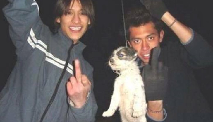 Все пак сме хора и нека се държим като такива! Все пак сме хора и нека се държим като такива!