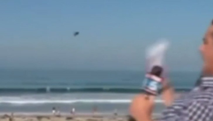 Синоптикът на "Фокс 5" Брад Уилис беше неприятно изненадан от огромно насекомо, докато представяше прогнозата си от плажа