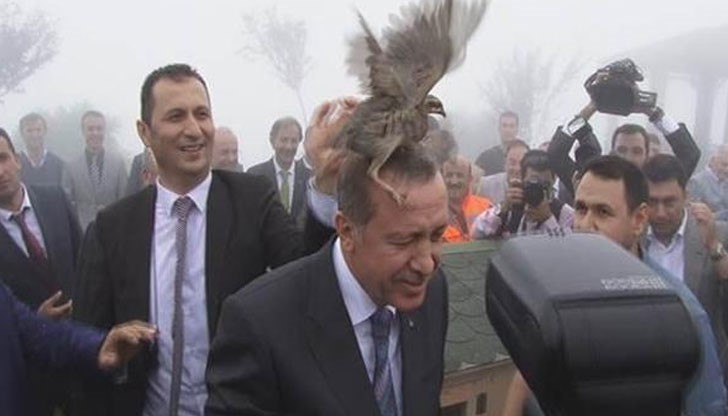 Яребица кацна на главата на Реджеп Ердоган