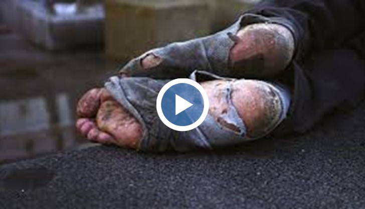 24% от бездомниците в София са висшисти