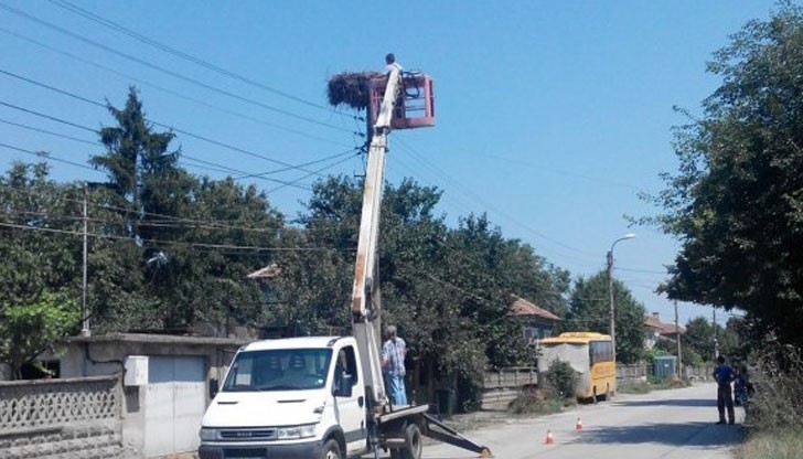 Съдействие за спасяването на щъркела й оказали "Паркстрой", кмета на Община Русе и "Енерго Про"
