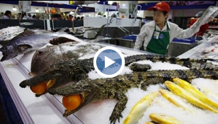 Търговци излагат замразени крокодили, както и диетична вода с месо