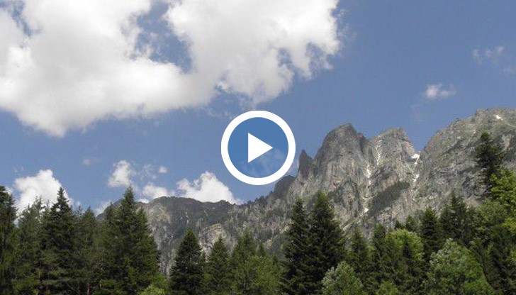 Между 250-300 души участват в акцията