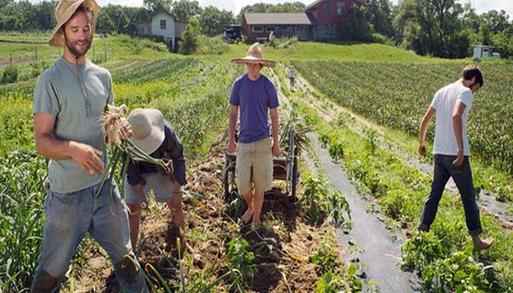 Всеки фермер може и да се възползва безплатно, и от услугите на Аналитичната лаборатория към НССЗ Всеки фермер може и да се възползва безплатно, и от услугите на Аналитичната лаборатория към НССЗ