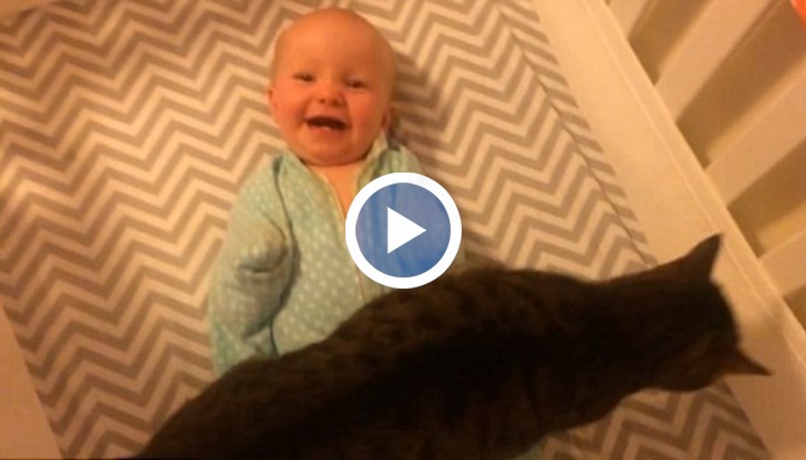 Пеленачето дава израз на изумителна палитра от емоции