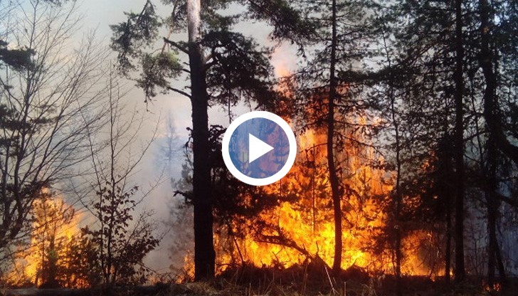 Според местните хора пожарът е тръгнал от запалване на треви или прословутия "човешки" фактор