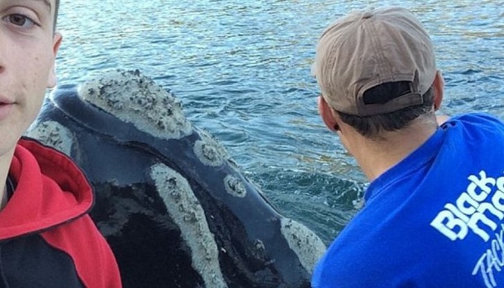 Банда млади рибари направиха невероятни селфита и клип с кит
