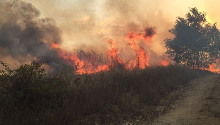 Няма пострадали хора, тъй като махалата е слабо населена Няма пострадали хора, тъй като махалата е слабо населена