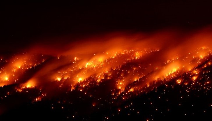 Нов пожар гори в зоната с ограничен достъп около Чернобилската АЕЦ Нов пожар гори в зоната с ограничен достъп около Чернобилската АЕЦ