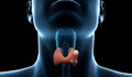 10 признака за проблем с щитовидната жлеза