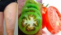Домат срещу разширени вени