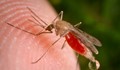 Одобриха първата с вета ваксина срещу малария