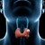 10 признака за проблем с щитовидната жлеза